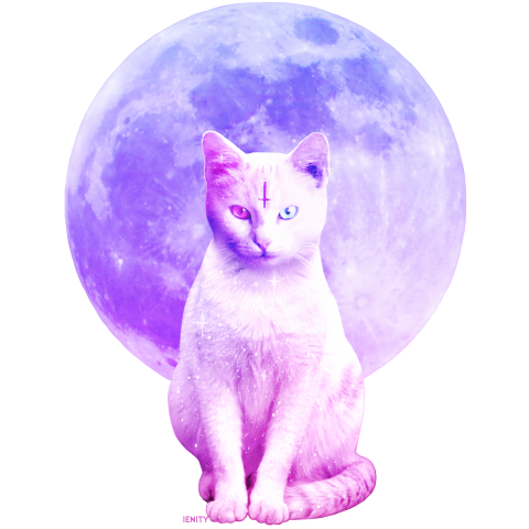 Holy cat and Moon