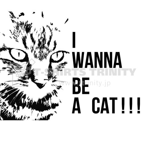 CATになりたい。