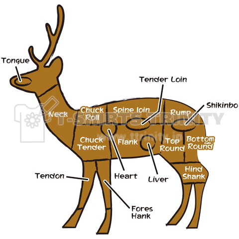 ジビエ 鹿肉部位