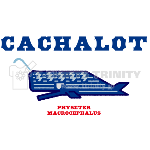 CACHALOT