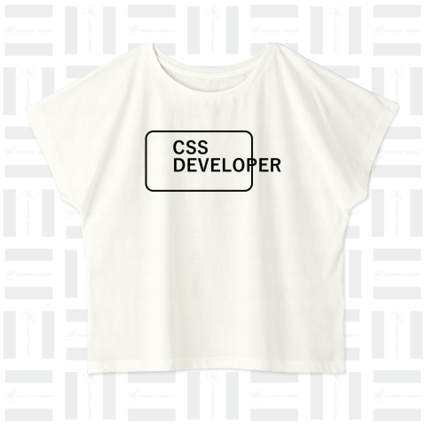 CSS DEVELOPER-CSS開発者- (CSS完全に理解した)