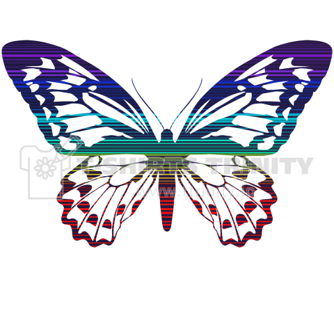 Butterfly-02