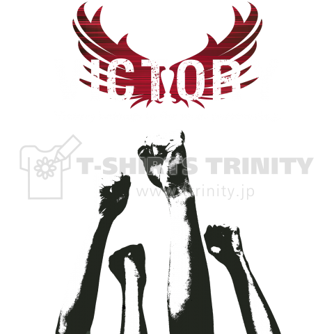 VICTORY-001