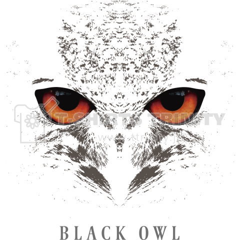 BLACK OWL