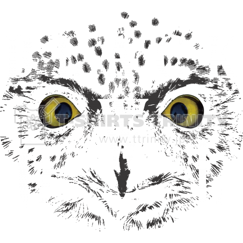 BLACK OWL-02