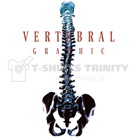 VERTEBRAL-GR