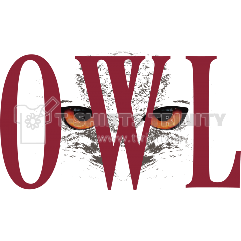 OWL-P01