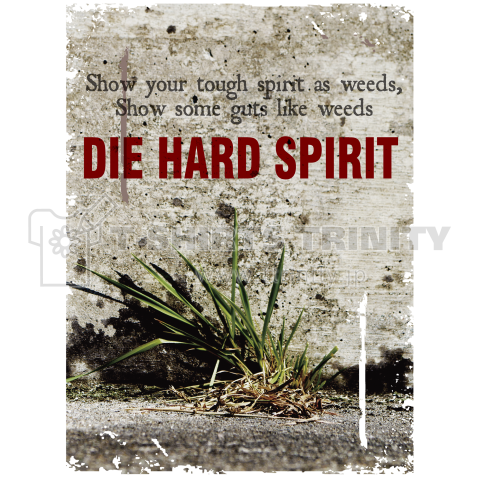 DIE HARD SPIRIT