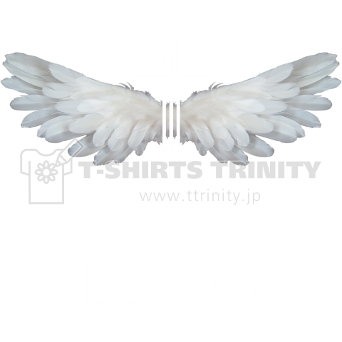 ailes d' ange-01