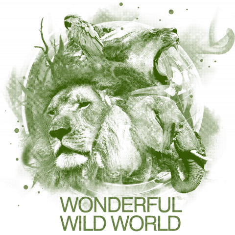 Wonderful Wild World