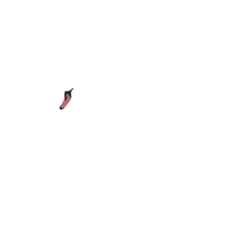 White swan