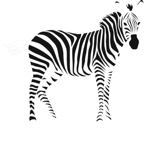 Zebra デザインtシャツ通販 Tシャツトリニティ