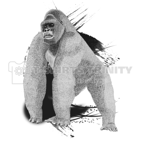 Gorilla