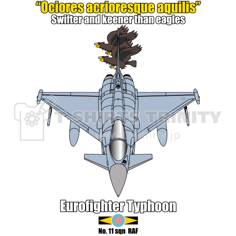 タイフーン戦闘機 イギリス空軍第11飛行隊 デザインtシャツ通販 Tシャツトリニティ