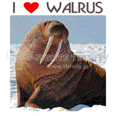 WALRUS(セイウチ)02 「I ♥ WALRUS」文字あり