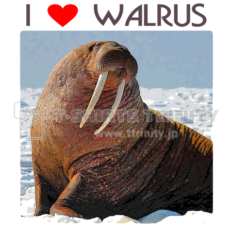 Walrus セイウチ 02 I Walrus 文字あり デザインtシャツ通販 Tシャツトリニティ