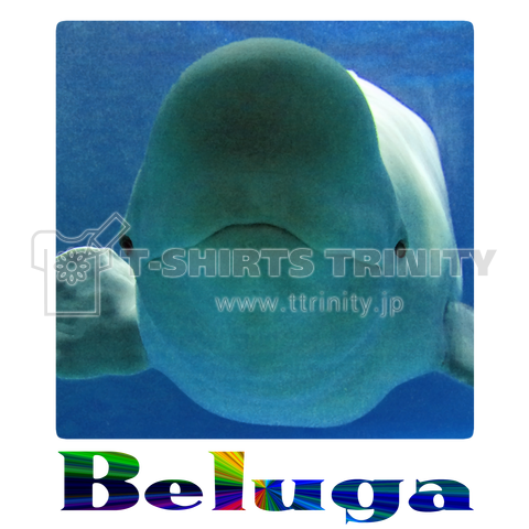 ベルーガ Beluga 01 文字あり デザインtシャツ通販 Tシャツトリニティ