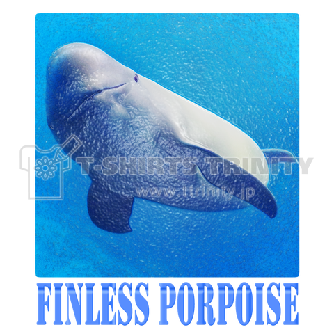 Finless Porpoise(スナメリ)01 文字あり