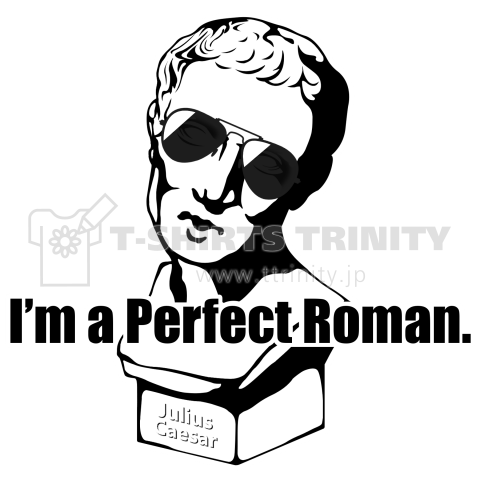 PERFECT ROMAN