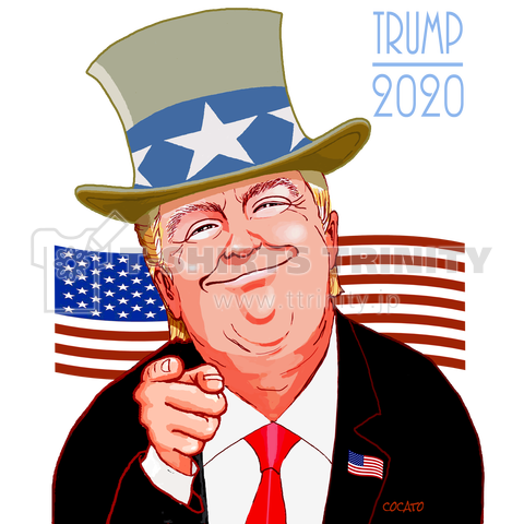 ドナルド・トランプ・2020年アメリカ大統領選