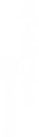 失った物ばかり数えるな デザインtシャツ通販 Tシャツトリニティ 失った物ばかり数えるな デザインtシャツ通販 Tシャツトリニティ