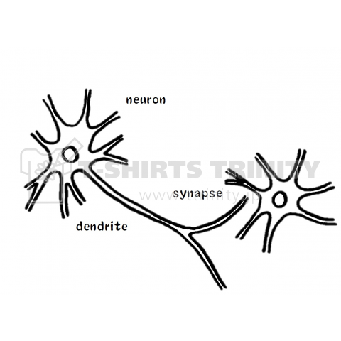 ニューロン デザインtシャツ通販 Tシャツトリニティ