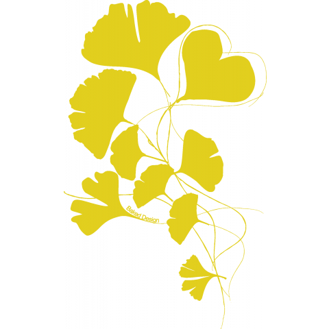 ginkgo 03