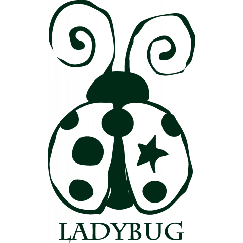 ladybug 02