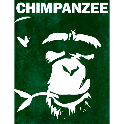 Chimpanzee face 01
