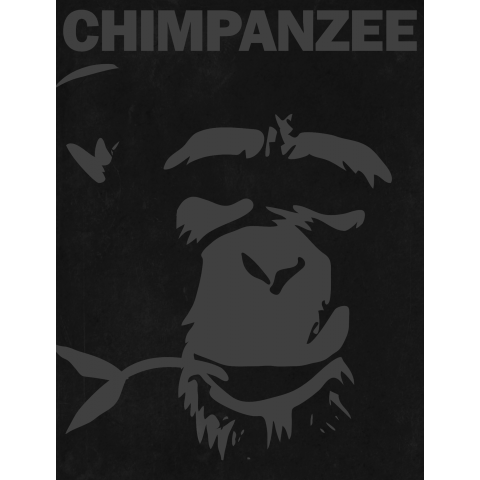 Chimpanzee face 03