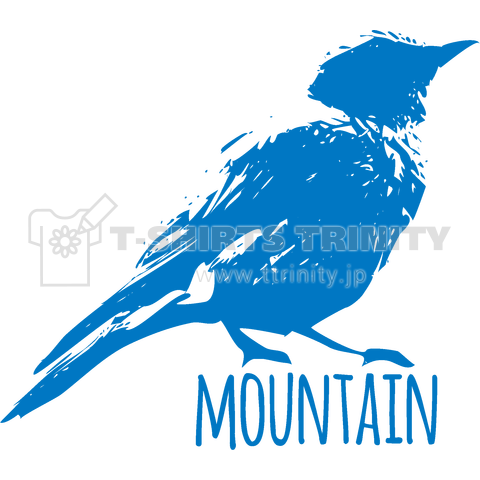 Mountain Bluebird 02