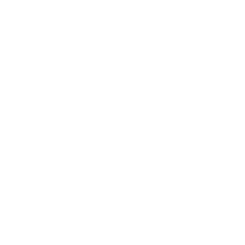 ten people have ten minds