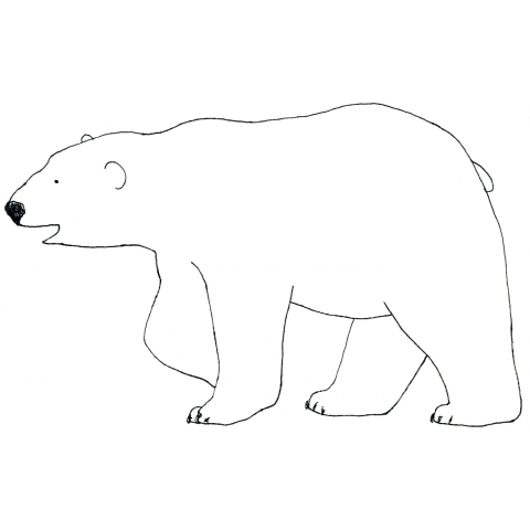 polar bear