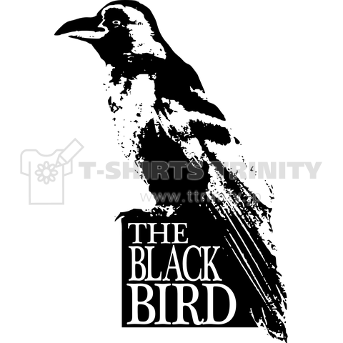 the Black Bird