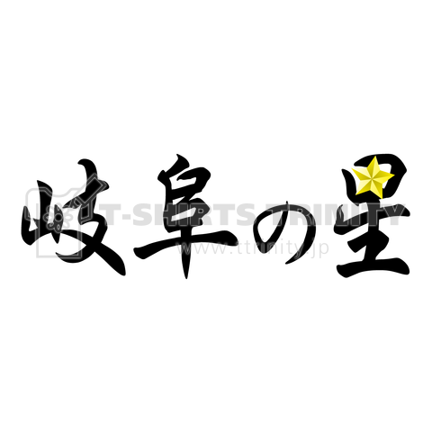 岐阜の星T