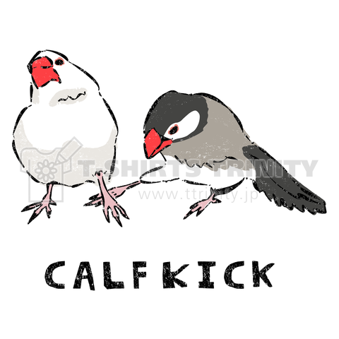 文鳥カーフキック - Java sparrow calf kick
