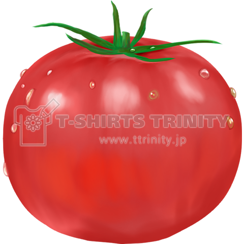 リアルなトマトのイラスト