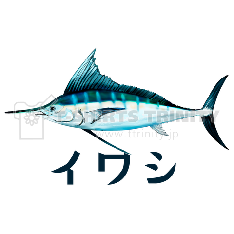 大きめのイワシが釣れました・・・