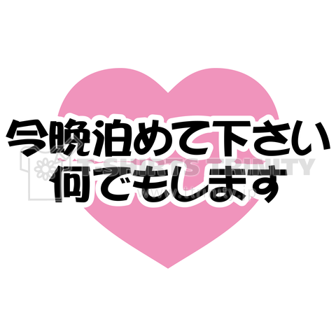 今晩泊めて下さい。何でもします