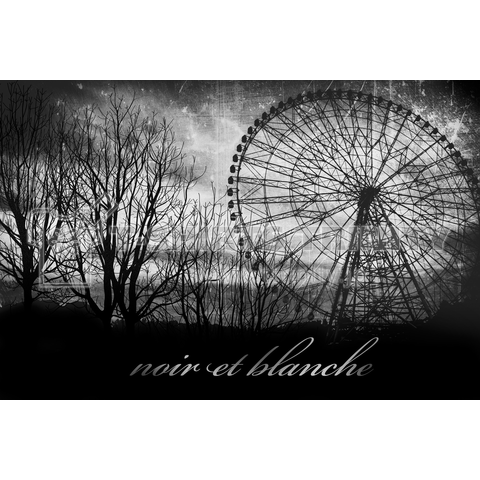 【noir et blanche】Ferris wheel