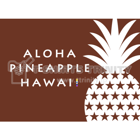 バックプリント チョコレートパイナップル aloha 100