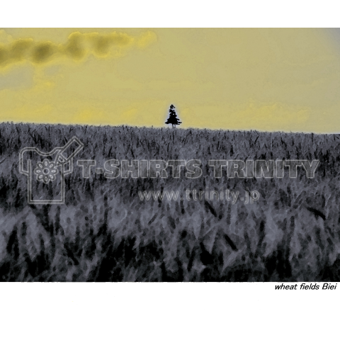 wheat field Biei