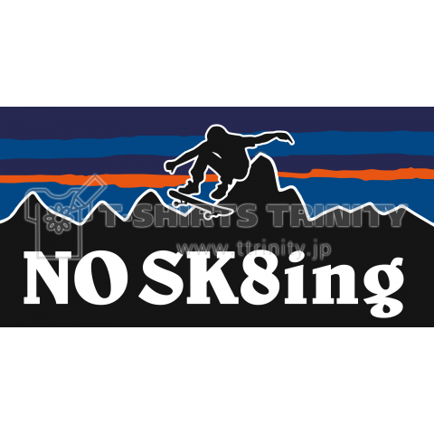 NO SK8ing outdoor