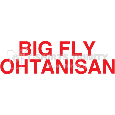 BIG FLY OHTANISAN-ビックフライオオタニサン-