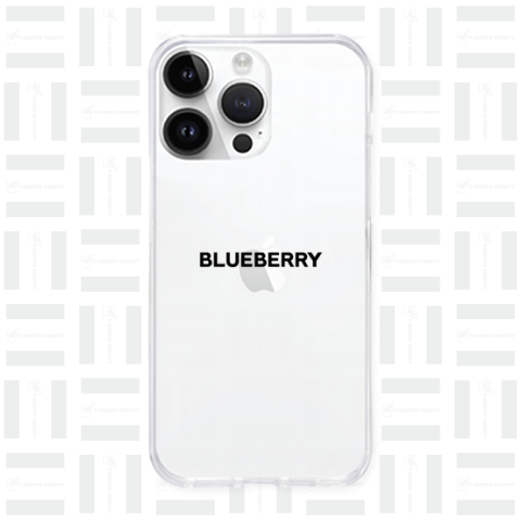 BLUEBERRY-ブルーベリー- Sans-Serif黒ロゴ