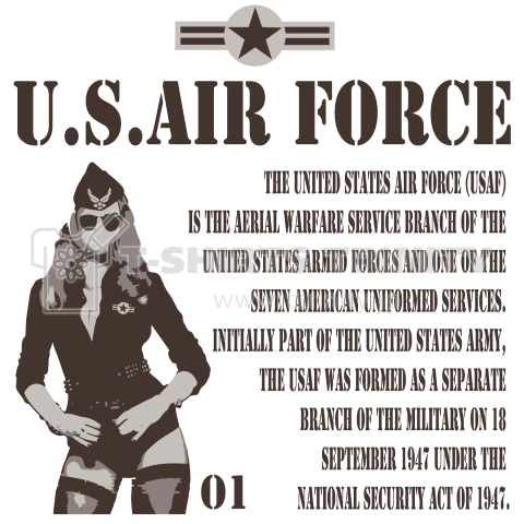 U.S.AIR FORCE-01