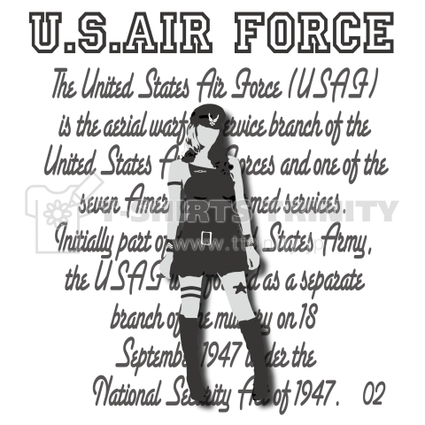 U.S.AIR FORCE-02