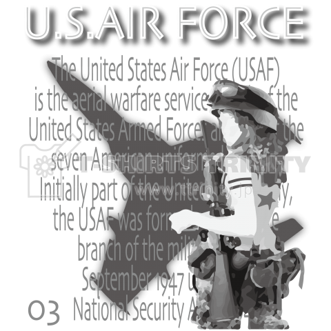 U.S.AIR FORCE-03