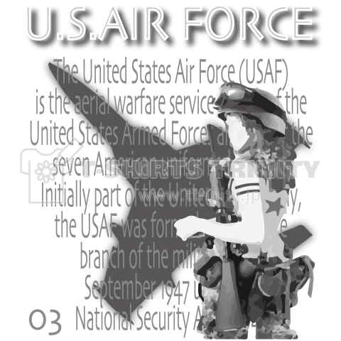 U.S.AIR FORCE-03-L