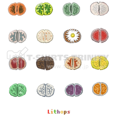 T-29 Lithops black